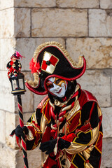 Jester - Annecy Venetian Carnival 2013
