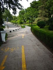 Obraz premium Winding bicycle path curving through a green park