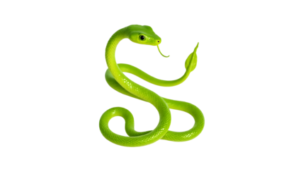 Green snake. 3d rendering isolated on white background.