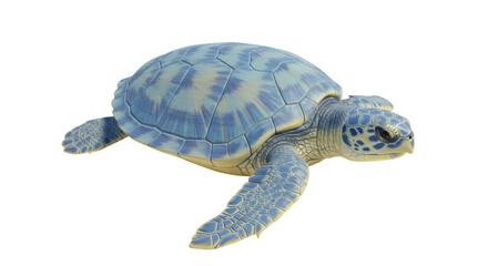 Isolated Sea Turtle