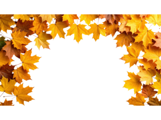 Rustic autumn leaves frame, a vibrant natural border for seasonal decorations and festive designs