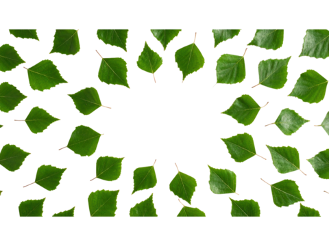Vibrant green leaf isolated on a deep black background, study in contrast and natural beauty - Powered by Adobe