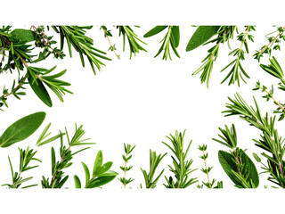 Elegant natural frame of vibrant green leaves and colorful blossoms for design lush