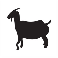 goat isolated on white background