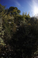 Fototapeta premium Coast near Sutomore, montenegro in autumn