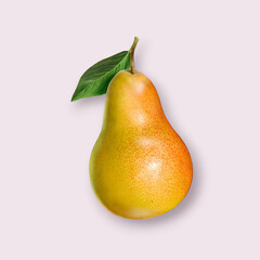 pear on white background