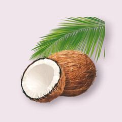 coconut on white background