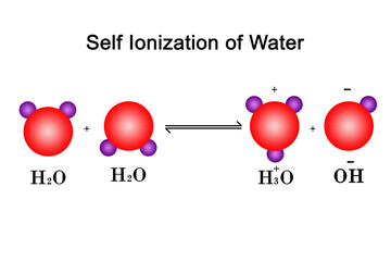 Self-Ionization of water molecule With 3D Shape