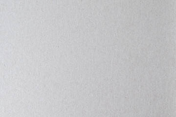 Sheet of raw paper texture as background.