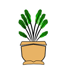 Stylized potted plant on black, simple vector illustration of greenery