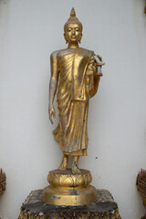 Statue of buddha in the Thai Temple