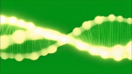 dna strand on a white background