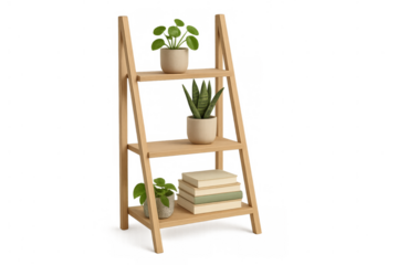 Modern wooden shelf holding potted plants and books on transparent background