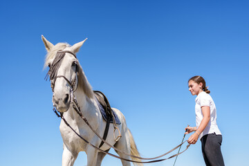 Female equestrian controlling horse during training session, gripping reins and crop beneath clear...