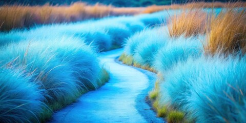 Serene Path Through a Field of Vibrant Blue Grasses, Illuminated by Soft Light