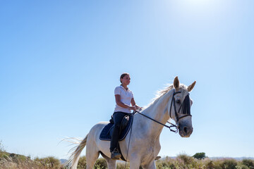 Horse rider galloping across verdant rural landscape, sunlight glinting on meadow grasses and...
