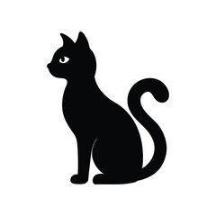 black cat on white background