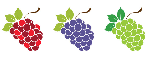 Set of Grape Icons Fruits, bunches of grapes icons, Flat vector red, green, blue grapes branch logo, Vector illustration