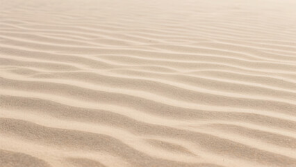 Obraz premium Sand Ripples Texture Background