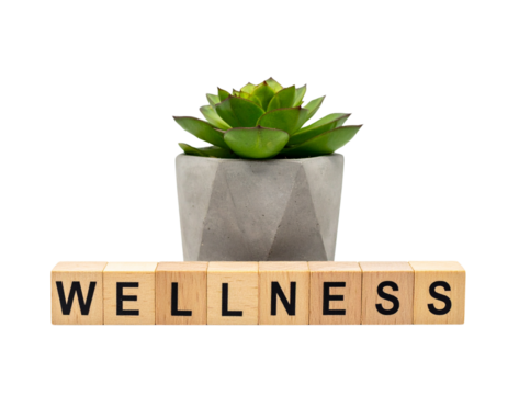 A small succulent plant in a geometric pot with wooden letter blocks spelling "WELLNESS". - Powered by Adobe