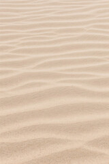 Wavy Sand Dune Pattern with Soft Focus