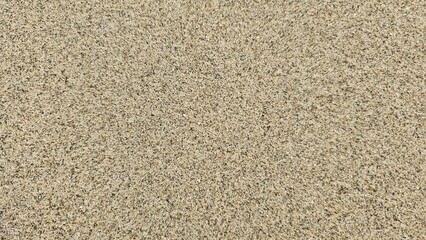 Uniform Beige Sand Texture Landscape. The sand appears dry and compact, showing no significant variation in pattern or content. Close Up of Natural Beige Sand Surface.