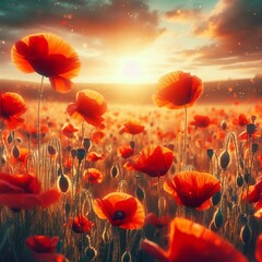 Fototapeta premium in Full Bloom Brilliant scarlet poppies