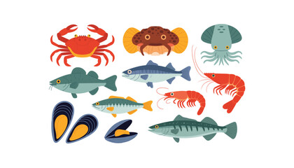 sea fish and sea shell set vector isolated white background