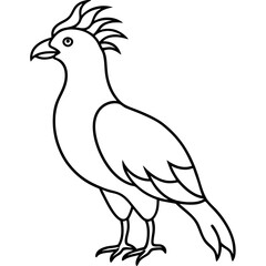 dove of peace