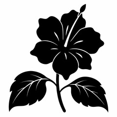 black and white flower