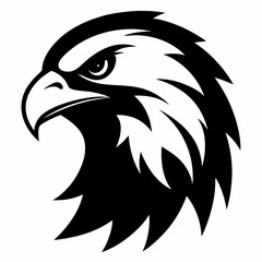 eagle head vector illustration