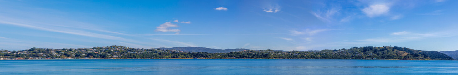 Fototapeta premium Wellington, New Zealand - city skyline. Modern architecture. The view from Wellington Harbor