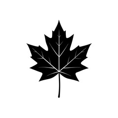 flat maple leaf with subtle shading   autumn icon 