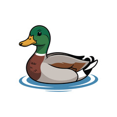 Vector illustration duck swimming on water  vector illustration isolated on white background