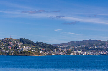 Fototapeta premium Wellington, New Zealand - city skyline. Modern architecture. The view from Wellington Harbor