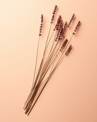 Dried lavender stalks arranged on a peach background.