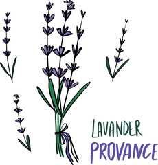lavander flovers provance set