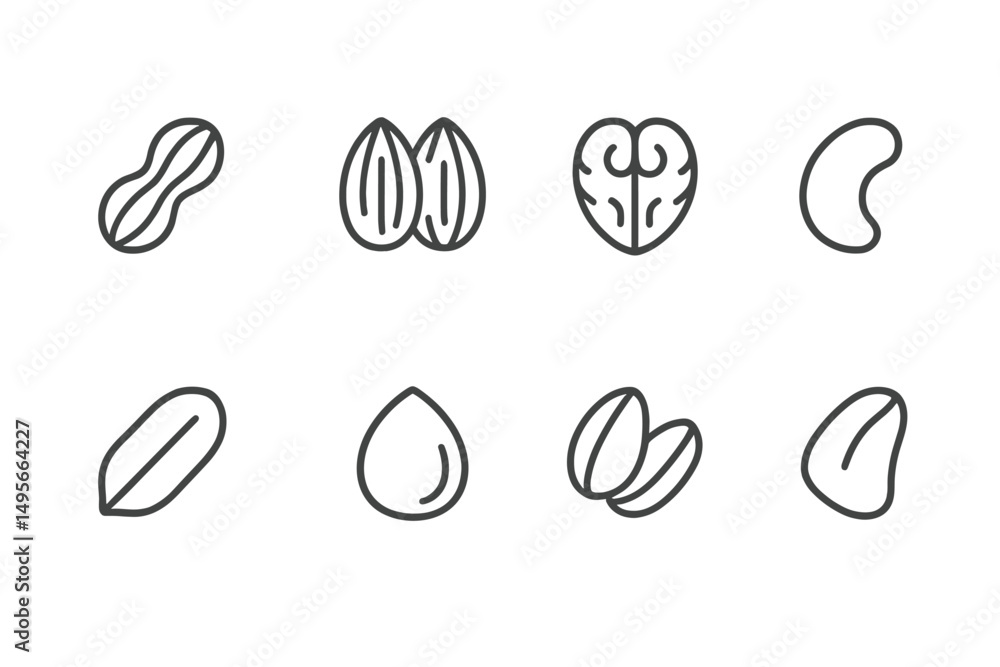 Poster variety of simple hand-drawn nut and seed illustrations against a plain background showcasing divers