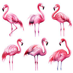 Obraz premium A collection of vibrant watercolor flamingos, capturing the elegance and grace of these exotic birds. Each flamingo showcases unique pose.
