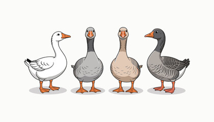 different poses goose set a natural setting during daytime vector