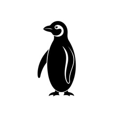 penguin standing upright   cold region animal 