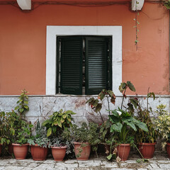 Potted Plants by a Window on Pink Wall