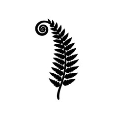 single curled fern frond   natural growth icon 