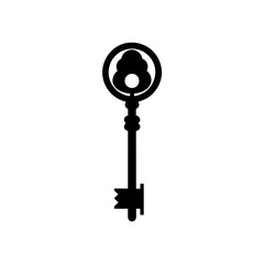 vintage skeleton key   antique access symbol  