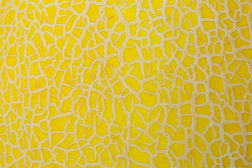 Close-up macro texture of melon peel,Bright yellow natural vegetable texture of melon peel close-up for designer background