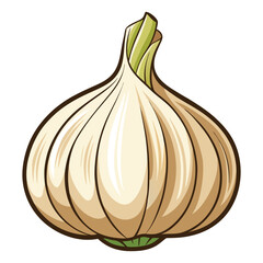 Garlic clipart on white background