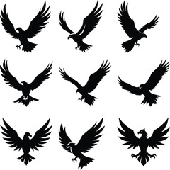 Fototapeta premium Silhouetted eagle soars majestically in various poses against a bright white backdrop capturing freedom