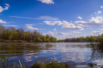 lake in the forest