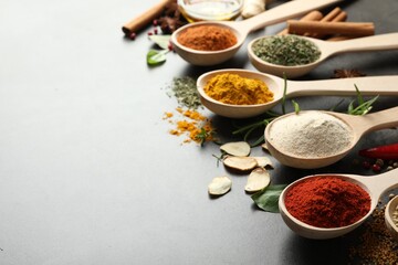 Many different spices in spoons on grey table, closeup. Space for text