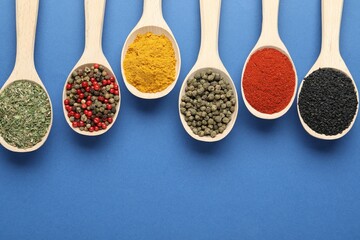 Different aromatic spices in spoons on blue background, flat lay. Space for text